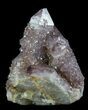 Cactus Quartz (Amethyst) Crystal Cluster - South Africa #64220-1